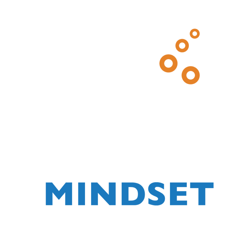 The Deep End Mindset™ Workshop